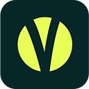 Venwise logo
