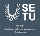 Veon Ltd. logo