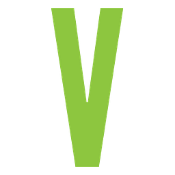 Veracity Consulting Inc. logo