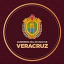 Hospital Español de Veracruz logo