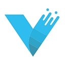 Verasight logo