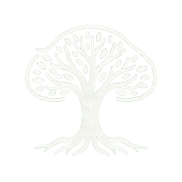 veratrace.xyz logo