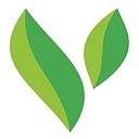 Verdant Commercial Capital logo