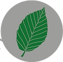Verde Landscapes Ltd logo