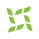 Verdi