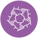 Verisio™ Ltd logo