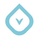 Verisolutions logo