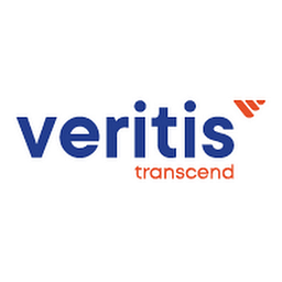 Veritis Group, INC. logo