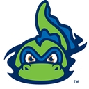 Favicon of Vermont Lake Monsters