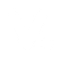 Vernal Point Advisors logo