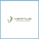 Vernus Technologies logo