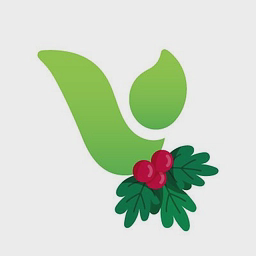 Vertas Group Limited logo