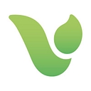 Vertas Group Limited logo