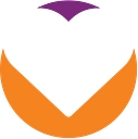Verus Global logo