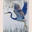 verve-it.com icon