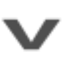 Ves Survey International logo