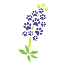 Abilene Veterinary Clinic