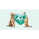 Favicon of Vetapet