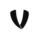 Veto Sports logo