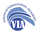 VI ACADEMY logo