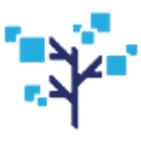 VibeCode company logo