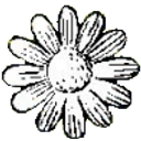 vibrantspine.com icon