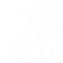 City of Vidalia logo