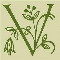 Vida pour Tea logo