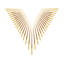 Vida Valiente Foundation logo