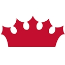 Vkgs Llc Dba Video King logo