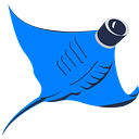 VideoRay LLC
