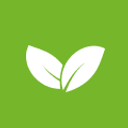 Vidya Farms logo