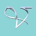Vie Aesthetics logo