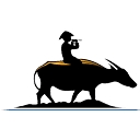 Vietnam Escape Tours logo