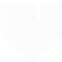 Viggle Ai logo