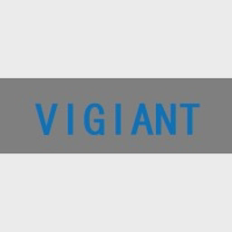 VIGIANT (UK) LIMITED logo
