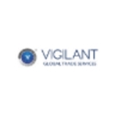 Vigilant Global Trade Services, Llc logo