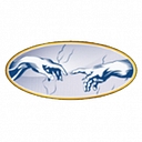 Vigilant Compliance, Llc logo