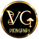 Vikingenes ™