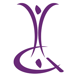 Viking Gymnastics & Dance logo