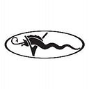 Viking Yacht Company logo
