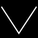 THE VILCEK FOUNDATION INC logo