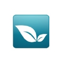 Village Dermatology logo