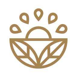 VILLAGE JUICE COMPANY logo