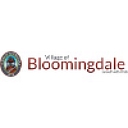 Village Of Bloomingdale logo