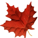 Maple Park village (pt.) logo