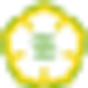 Schaumburg village (pt.) logo