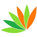 Village School Inc logo