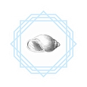 villaseashell.com icon