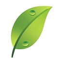 Favicon of Vimerson Health